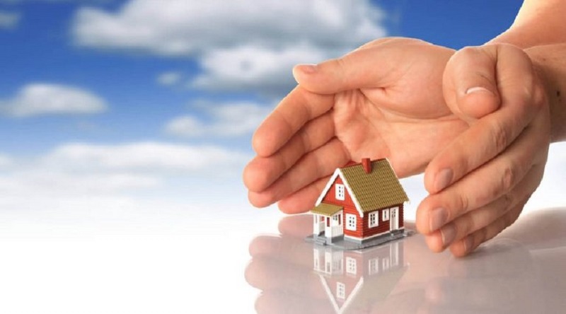 Come eliminare i pidocchi in casa_800x444
