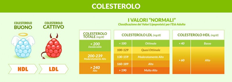 colesterol_800x284