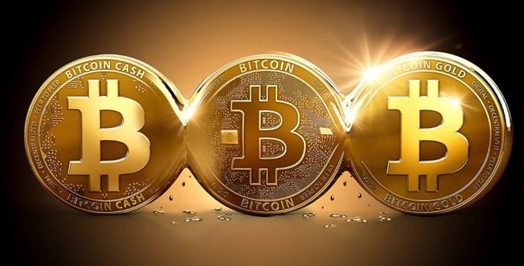 criptovalute